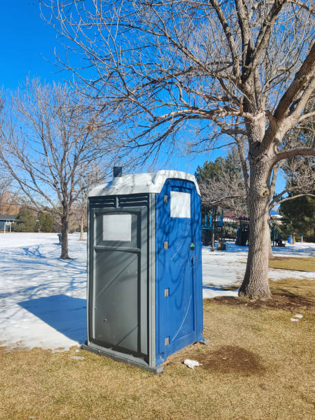 Best Portable Toilet Rental for Emergency Services  in Ddleville, MI